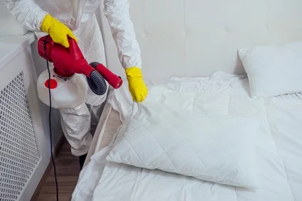 ¿Qué causa las cucarachas en el dormitorio?